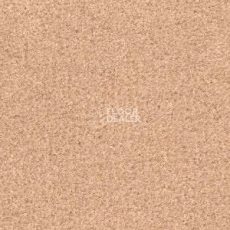 Ковролин Radici Admiral Marshmallow 2212 фото 1 | FLOORDEALER